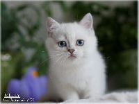 /milky