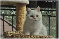 /telma