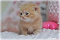 /teodor