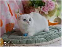 /severin