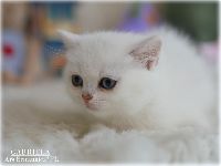 /gabriela