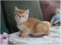 /napoleon