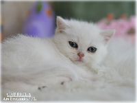 /gabriela
