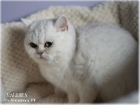 /valeria