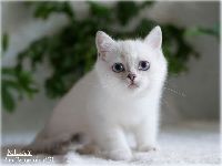 /milky
