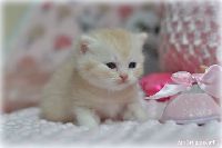 /telma