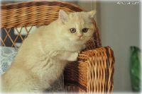 /harriet