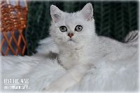 /hattiemae