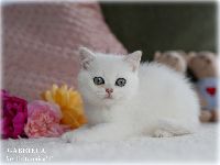 /gabriela