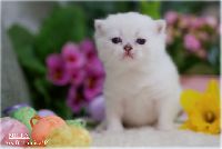 /milky