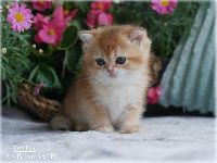 /izyda