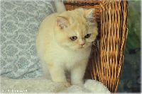 /harriet