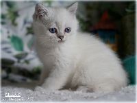 /milky