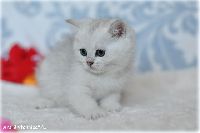 /harriet