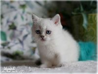 /milky