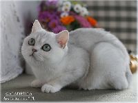 /galadriela