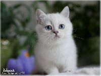 /milky