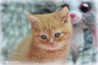 /teodor