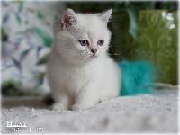 /milky