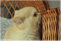 /harriet