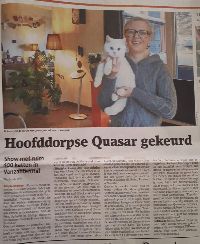 /quasar