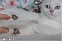 /babette