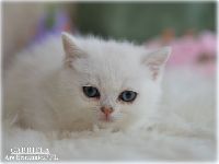 /gabriela
