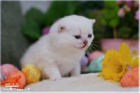 /milky