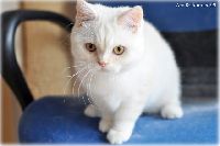 /telma