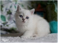 /milky
