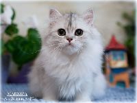 /markiza