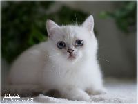 /milky