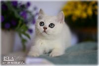 /isla