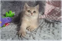 /raspberry