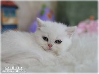 /gabriela