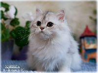 /markiza