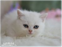/gabriela