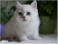 /milky