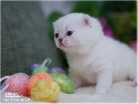 /milky