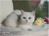 /gabriela
