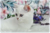 /babette
