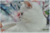 /babette