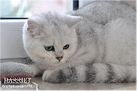 /harriet