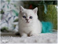 /milky
