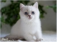 /milky