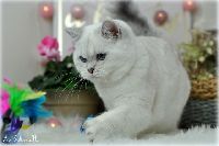 /orion