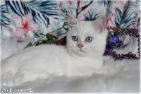 /babette