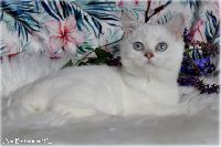 /babette