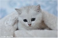 /harriet