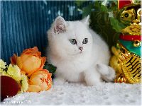 /valeria